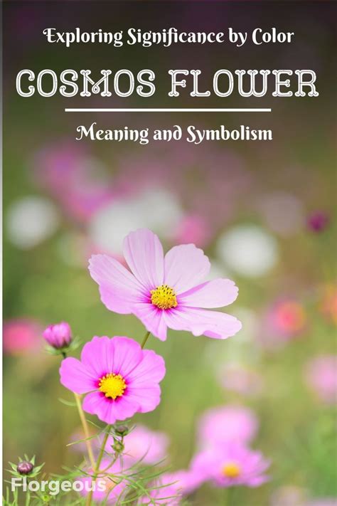 Exploring the Significance of Various Elements in a Flower