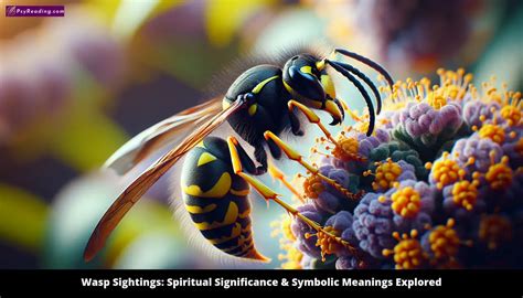 Exploring the Significance of Wasp Symbolism