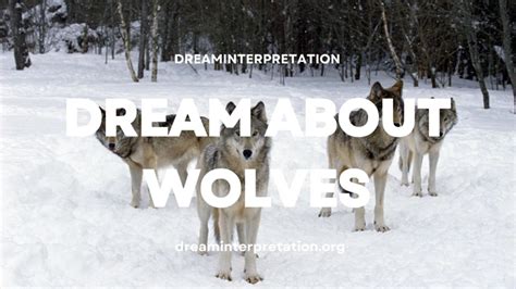 Exploring the Significance of Wolf Infant Dreams in Psychology