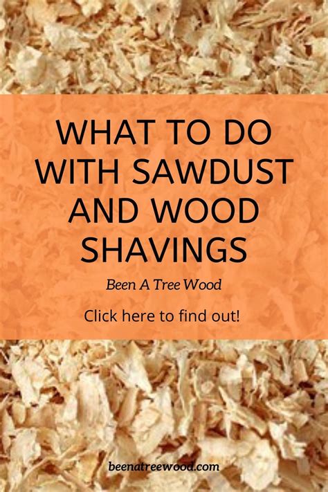 Exploring the Significance of Wood Shavings in Personal Growth and Transformation