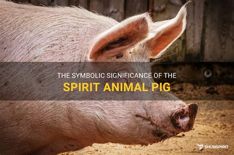 Exploring the Significance of a Pig's Presence Inside a Household