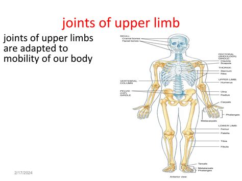 Exploring the Significance of the Corresponding Limb Joint in Dream Analysis