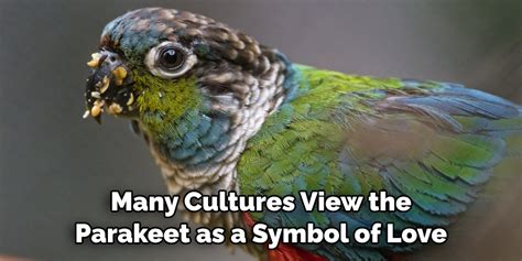 Exploring the Significance of the Crimson Avian in Various Cultures