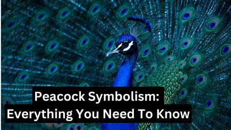 Exploring the Significance of the Magnificent Peacock in Diverse Cultures and Mythologies