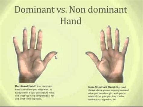 Exploring the Significance of the Non-Dominant Hand