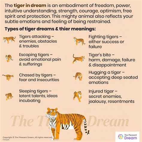 Exploring the Significance of the Tiger Cat Dream across Various Cultural Contexts