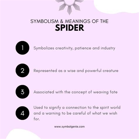 Exploring the Spider as a Symbol