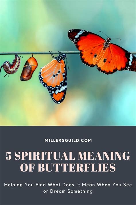 Exploring the Spiritual Significance of Butterflies