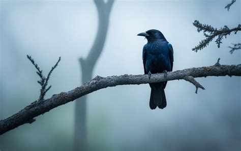 Exploring the Spiritual Significance of Crow-guided Journeys in the Realm of Dreams