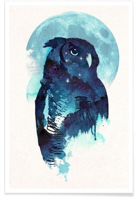 Exploring the Spiritual Significance of Envisioning a Midnight-Hued Owl