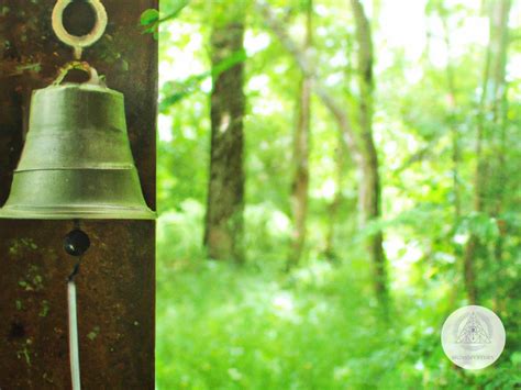 Exploring the Spiritual Significance of Shimmering Chimes in Reveries