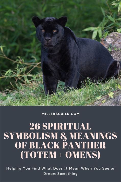 Exploring the Spiritual Significance of Tiny Panthers