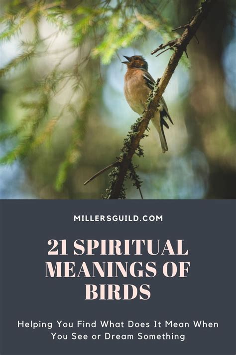 Exploring the Spiritual Significance of a Tiny Bird