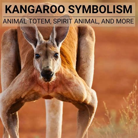 Exploring the Spiritual and Cultural Significance of Kangaroo Dream Visions