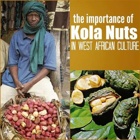 Exploring the Spiritual and Cultural Significance of Kola Nut in African Dreams