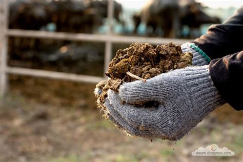 Exploring the Spiritual and Esoteric Significance of Manure Dreams