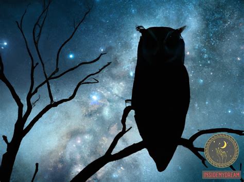 Exploring the Spiritual and Mystical Significance of Owls in Dream Interpretation