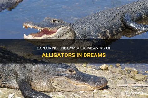 Exploring the Symbolic Meaning of Alligators in Dreams