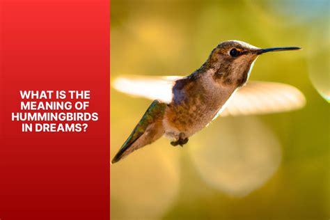 Exploring the Symbolic Meaning of Observing a Hummingbird in Dreams