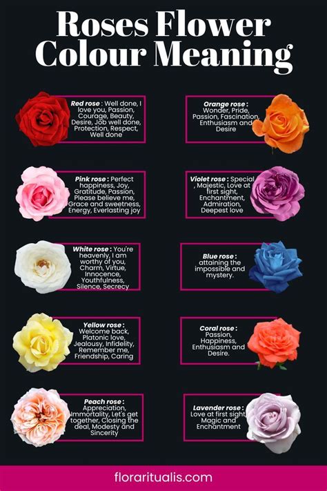 Exploring the Symbolic Meaning of Rose Color in Dreams