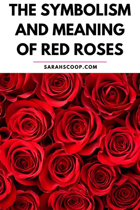 Exploring the Symbolic Representation of Roses in Iconic Artistic and Literary Works