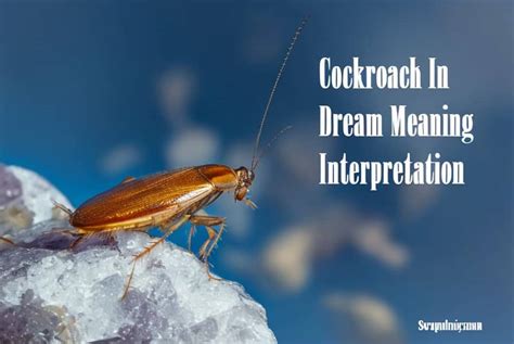 Exploring the Symbolic Significance: Roach Eggs in the Realm of Dreams