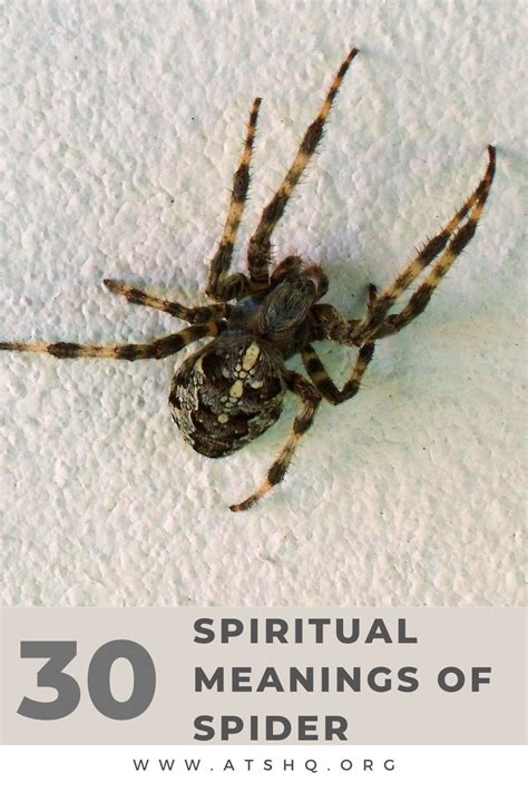 Exploring the Symbolic Significance and Interpretations of Spider Imagery in Dreams