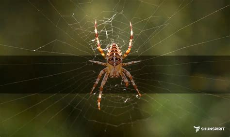 Exploring the Symbolic Significance of Arachnids: A Deeper Look into Dream Interpretation