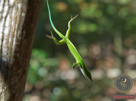 Exploring the Symbolic Significance of Lizard Jumping in Dreamscapes