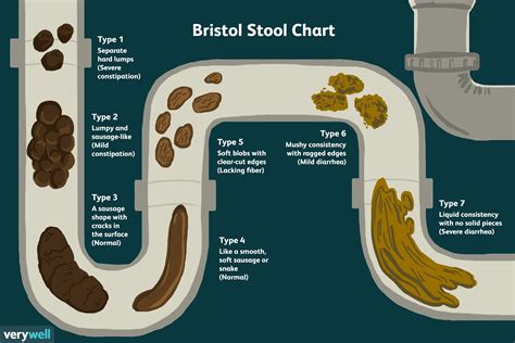 Exploring the Symbolic Significance of Observing Bowel Movements