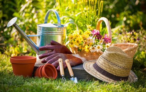 Exploring the Symbolic Significance of Verdant Garden Produce