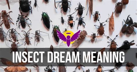 Exploring the Symbolic Value of Insects in Dream Interpretation