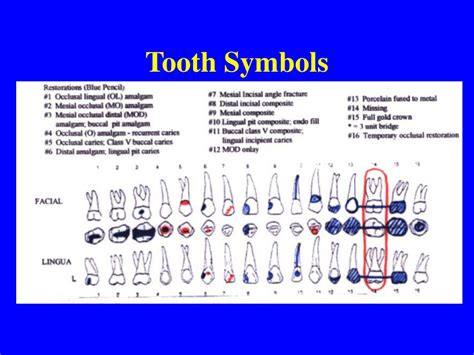 Exploring the Symbolism Behind Transformation of Dental Structures in Oneirocriticism