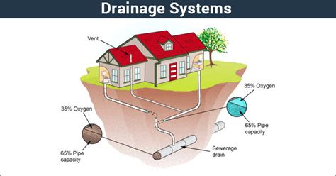 Exploring the Symbolism Behind the Vision of a Drainage System