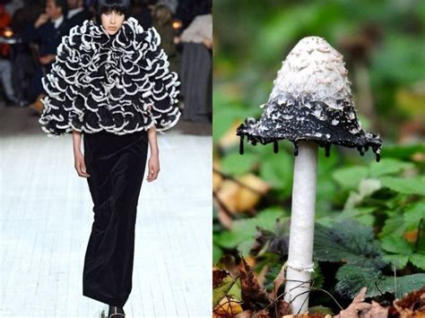 Exploring the Symbolism and Meaning behind Fungi-inspired Fashion