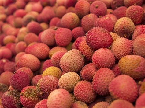 Exploring the Symbolism of Lychee Fruit in Chinese Festivals