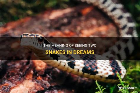 Exploring the Symbolism of Multiple Snakes in Dreams