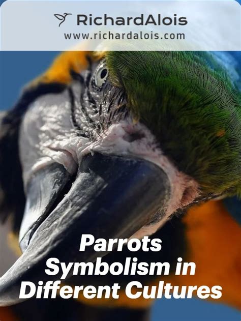 Exploring the Symbolism of Parrots in Various Cultures