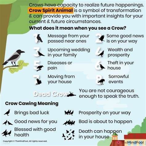 Exploring the Symbolism of Sleep in Crows' Imaginings