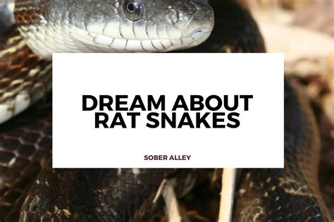 Exploring the Symbolism of Snakes in Dreams of Rat Elimination