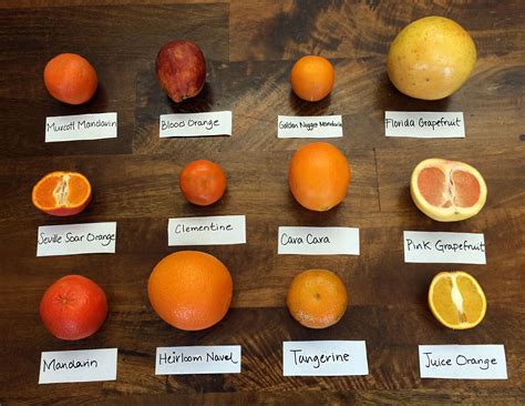 Exploring the Symbolism of Sun-colored Citruses in Diverse Cultures