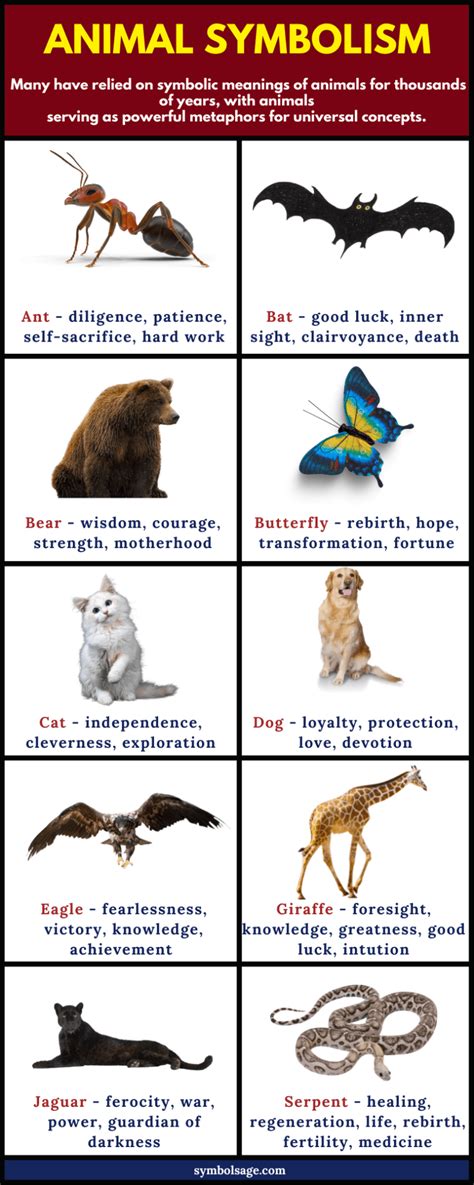 Exploring the Symbolism of Various Animal Guides