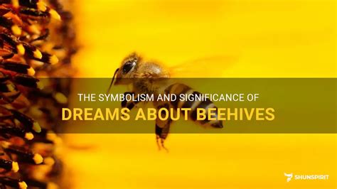 Exploring the Symbolism of a Beehive in Dreams