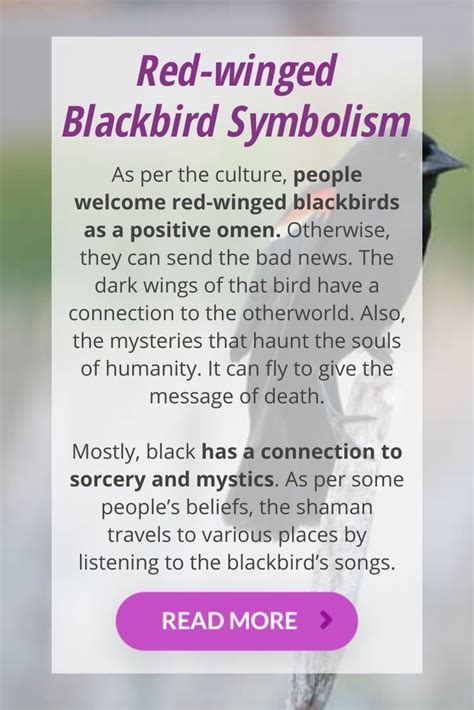 Exploring the Symbolism of the Red Winged Blackbird