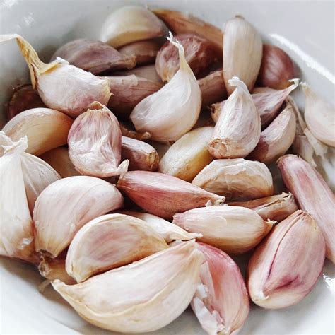 Exploring the Therapeutic Potential of Pale Garlic Cloves: Unveiling their Healing Capacities