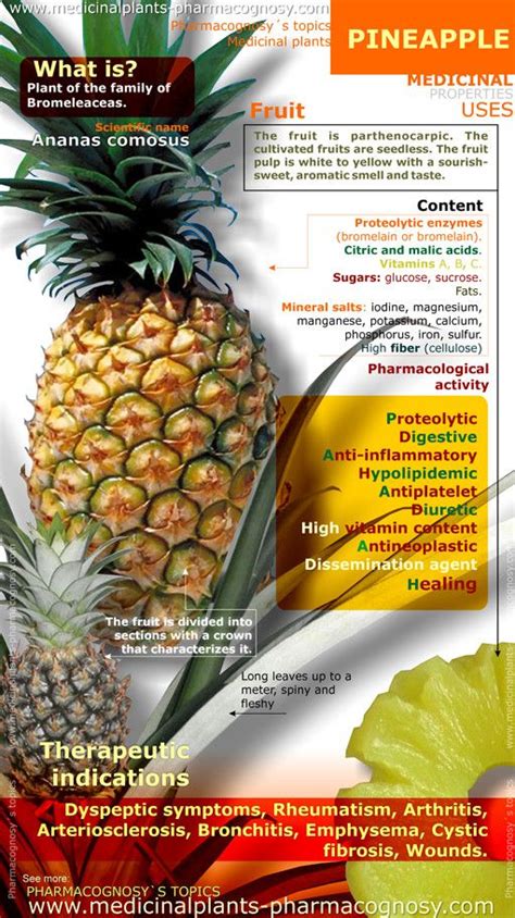 Exploring the Therapeutic Qualities of Pineapple