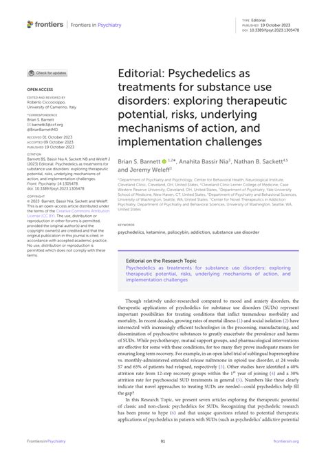 Exploring the Underlying Factors behind Substance-Related Imaginations