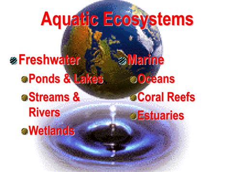 Exploring the Various Categories of Aquatic Fantasies