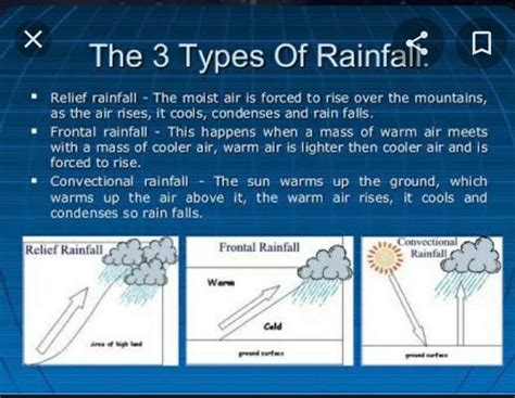 Exploring the Various Categories of Rain Dreams