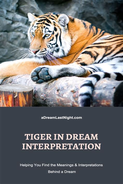 Exploring the Various Scenarios of Tiger Encounters in Dreams